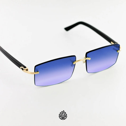 Cartier Black Acetate Glasses with Gold C Decor & Blueberry Lens CT0048O-002