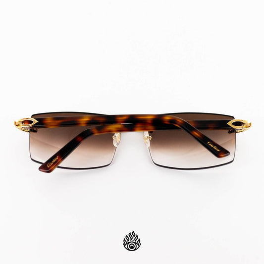 Cartier Tortoise Acetate Glasses with Gold C Decor & Brown Lens CT0048O-004