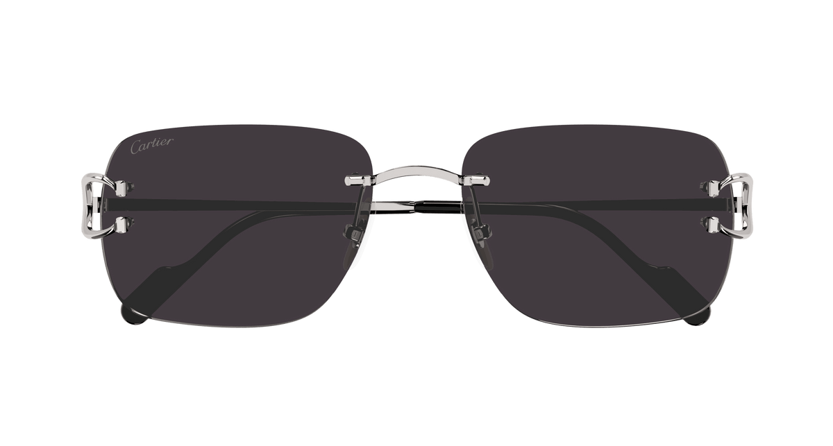 Cartier CT0330S
