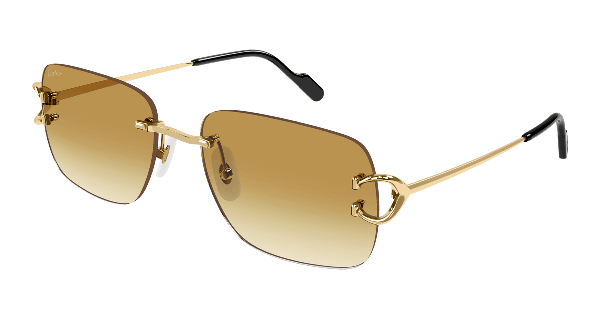 Cartier CT0330S