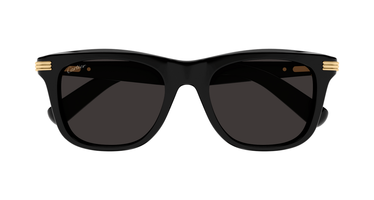 Cartier CT0396S