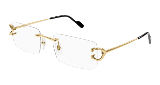 Cartier CT0488O