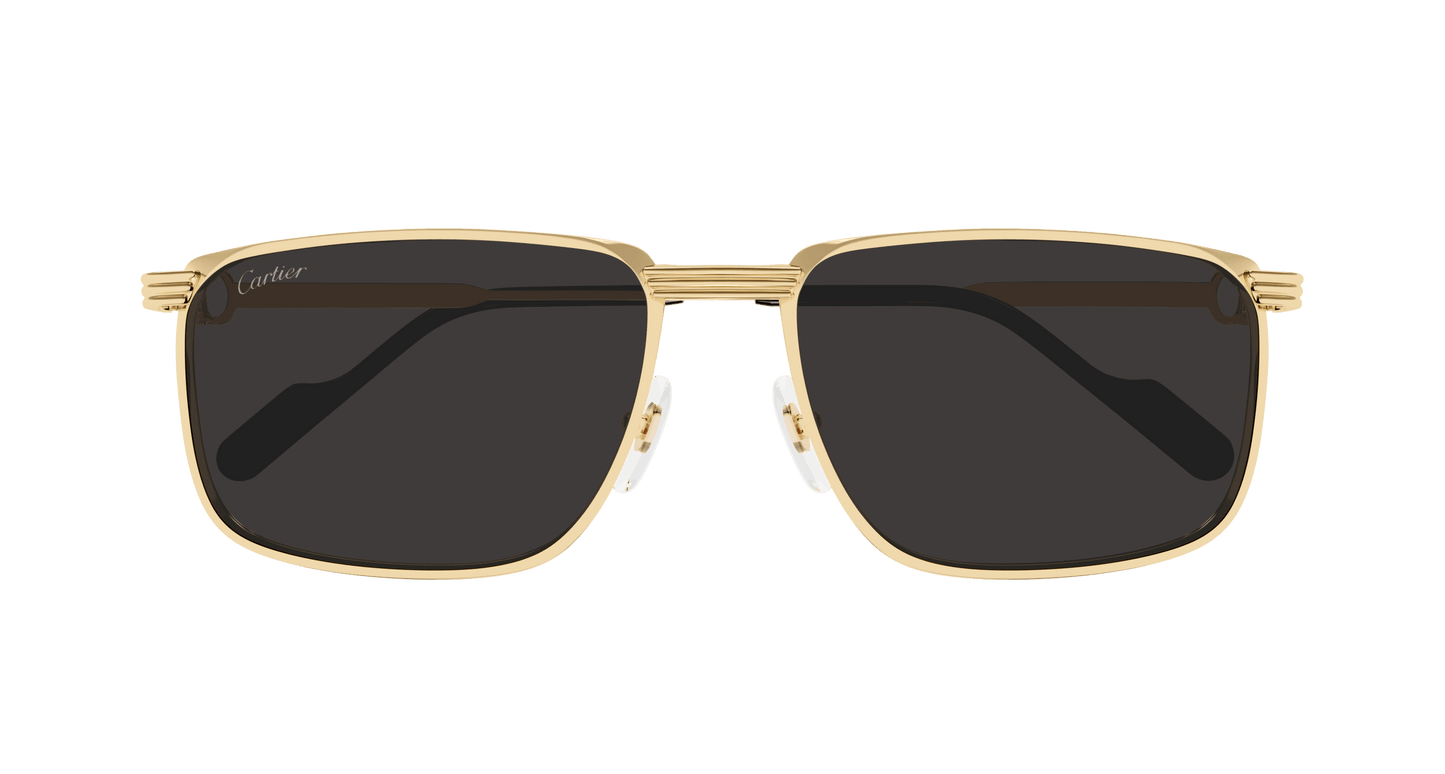 Cartier CT0534S