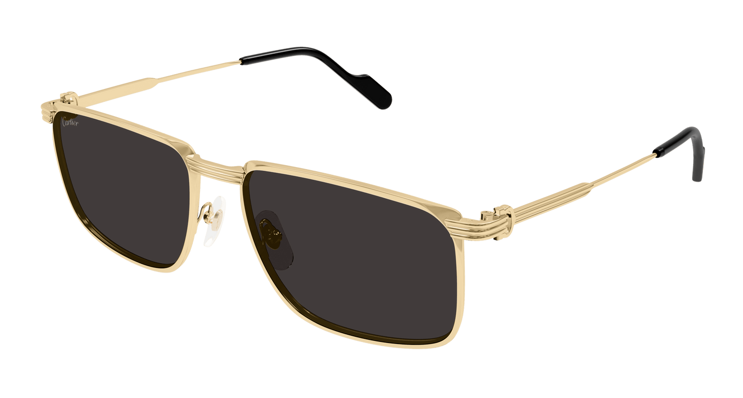 Cartier CT0534S